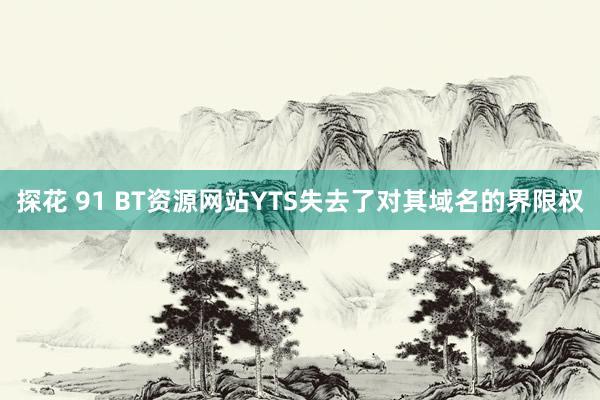 探花 91 BT资源网站YTS失去了对其域名的界限权